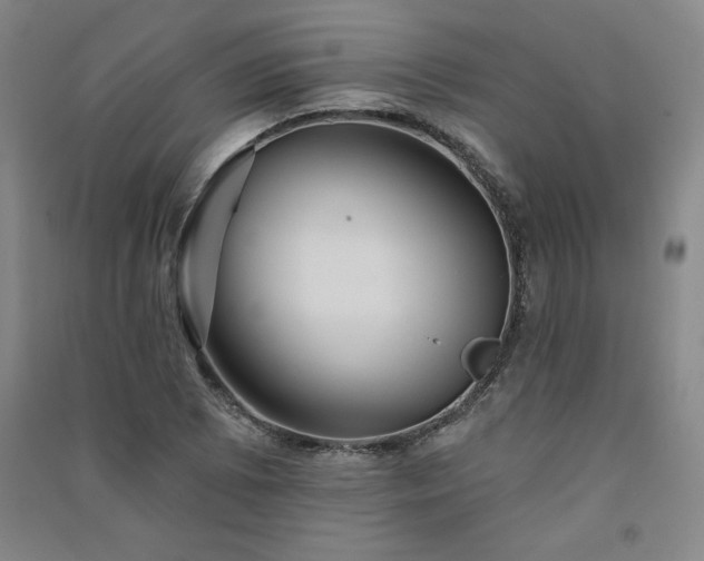 X0000091331073200708171346