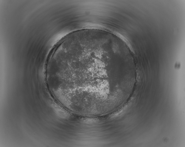 X0000091331074200708171346