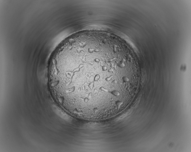 X0000091331075200708171346