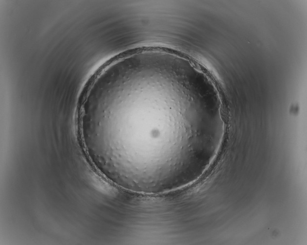 X0000091331076200708171346