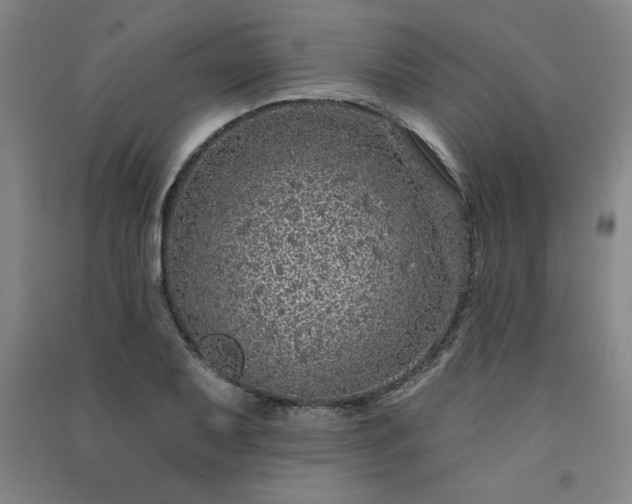 X0000091331079200708171346