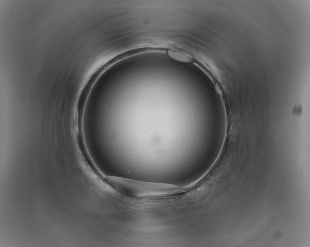 X0000091331080200708171346