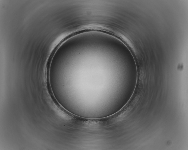 X0000091331082200708171346