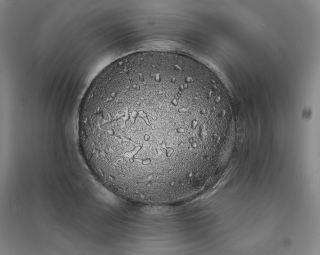 X0000091331083200708171346