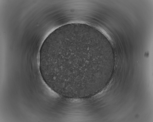 X0000091331084200708171346