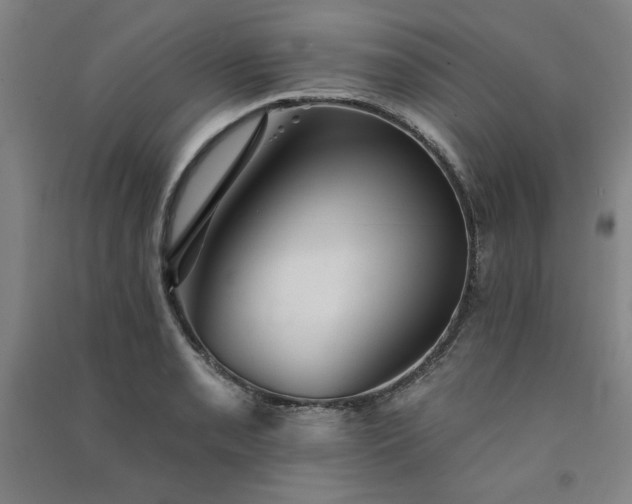 X0000091331085200708171346