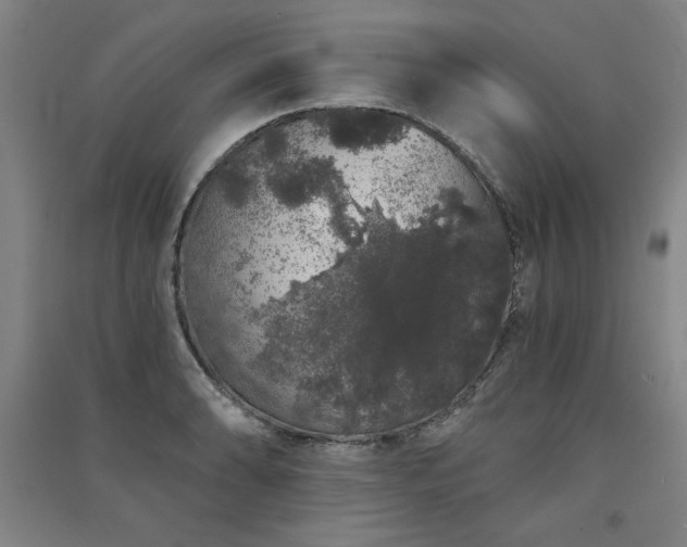 X0000091331086200708171346