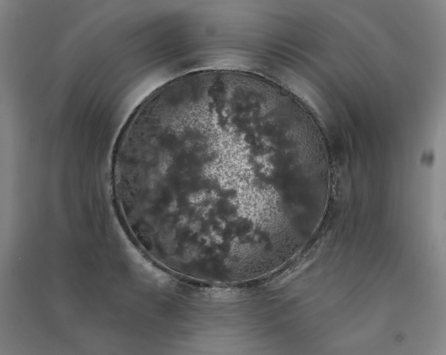 X0000091331087200708171346