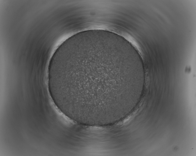 X0000091331088200708171346