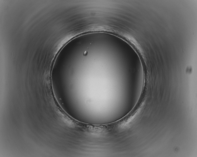 X0000091331089200708171346