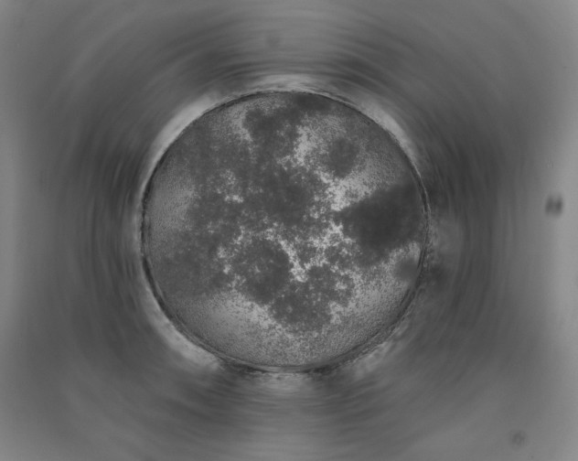 X0000091331090200708171346