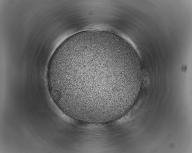 X0000091331091200708171346