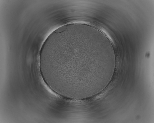 X0000091331092200708171346