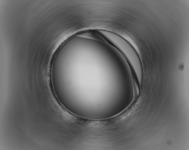 X0000091331093200708171346