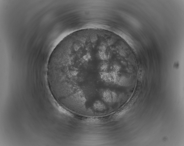 X0000091331094200708171346