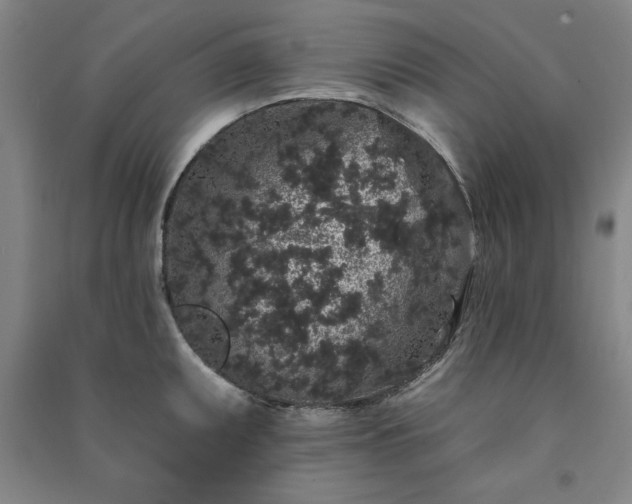 X0000091331095200708171346