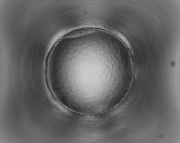 X0000091331096200708171346