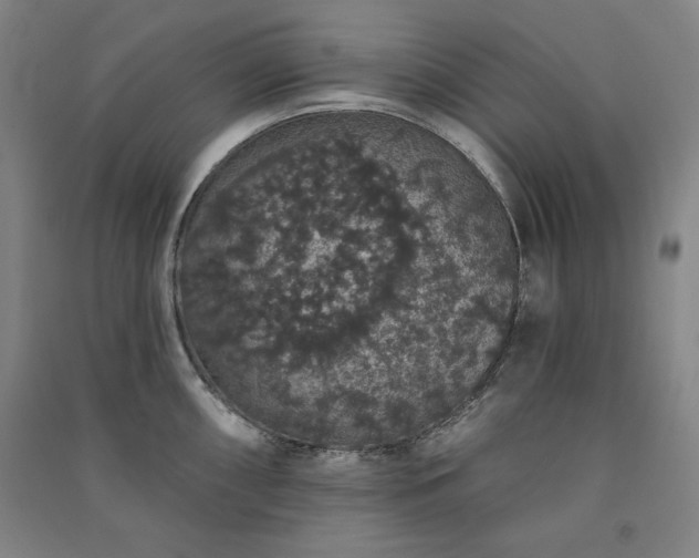 X0000091331098200708171346