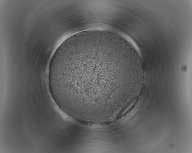 X0000091331099200708171346