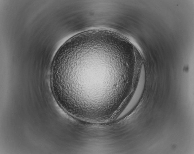 X0000091331100200708171346