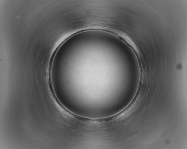 X0000091331101200708171346