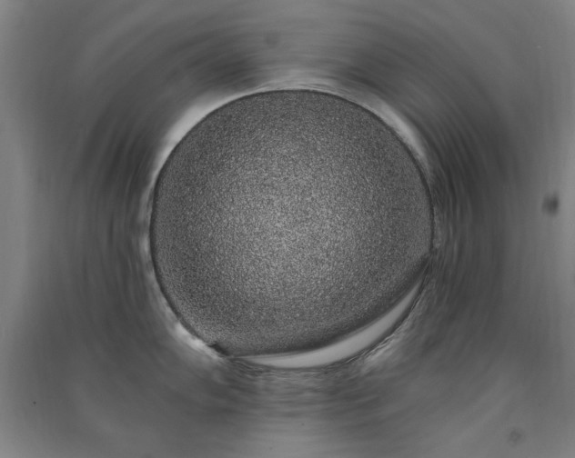 X0000091331102200708171346