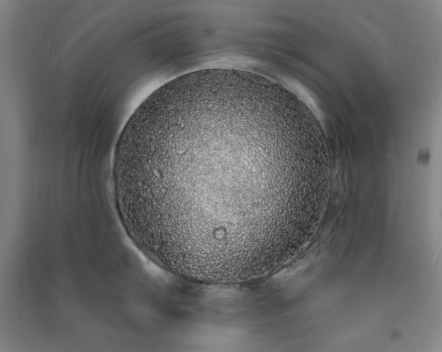 X0000091331103200708171346