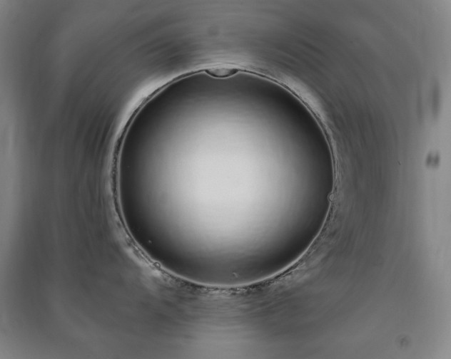 X0000091331104200708171346