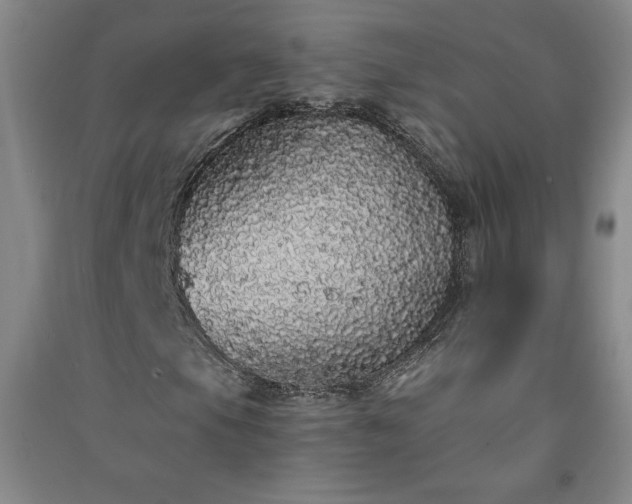 X0000091331105200708171345