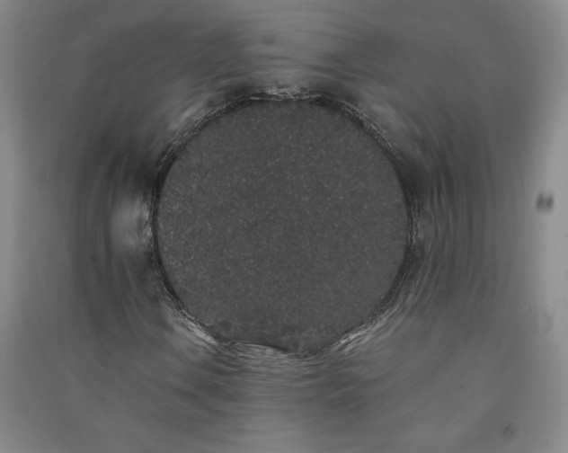 X0000091331106200708171345