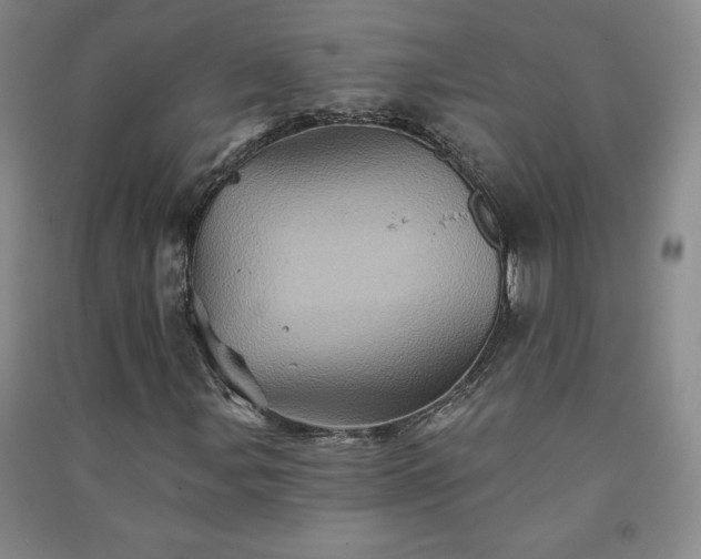 X0000091331107200708171345