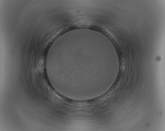 X0000091331108200708171345