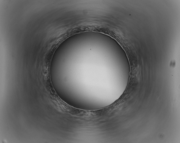 X0000091331109200708171345