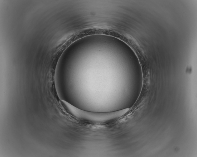 X0000091331110200708171345