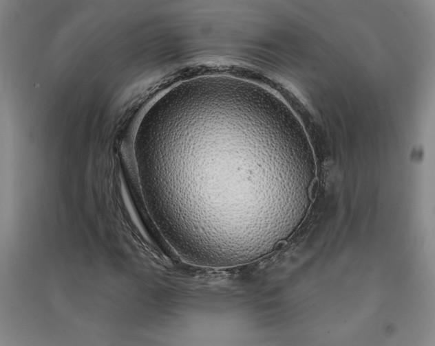 X0000091331111200708171345