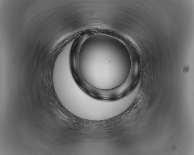 X0000091331112200708171345