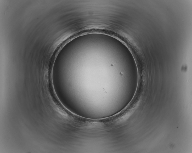 X0000091331113200708171345