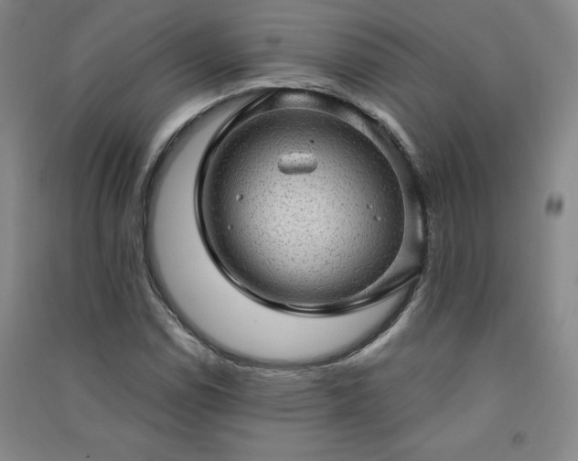 X0000091331114200708171345