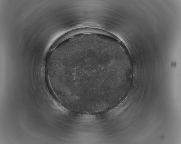 X0000091331115200708171345