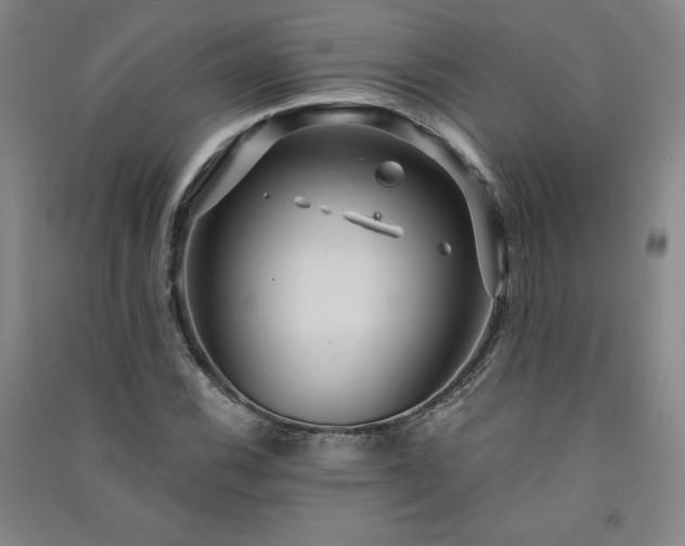 X0000091331116200708171345