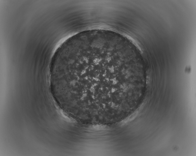 X0000091331117200708171345