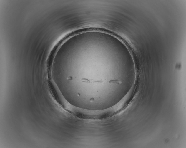 X0000091331118200708171345