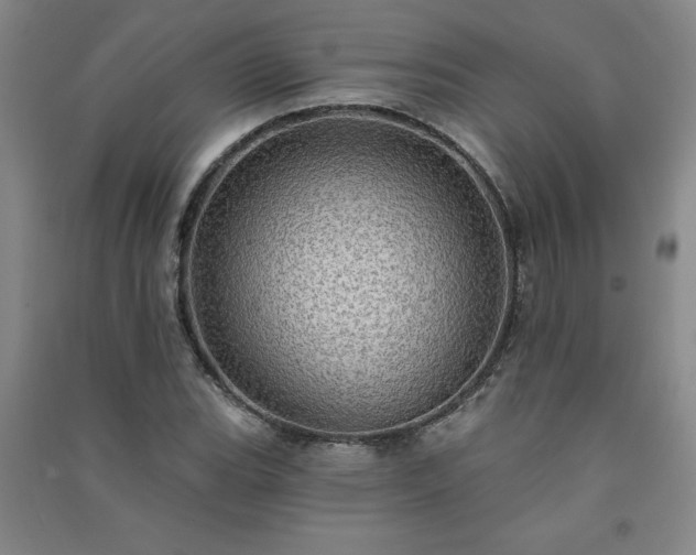 X0000091331119200708171345