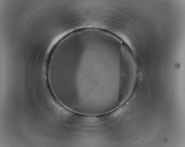 X0000091331120200708171345