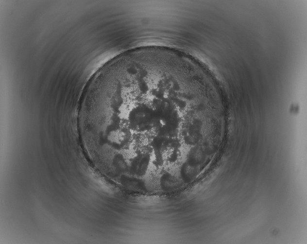 X0000091331121200708171345