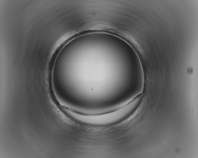 X0000091331122200708171345