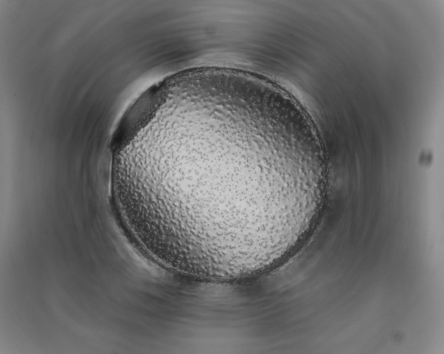 X0000091331123200708171345