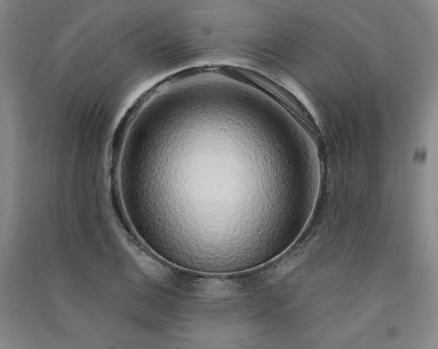 X0000091331124200708171345