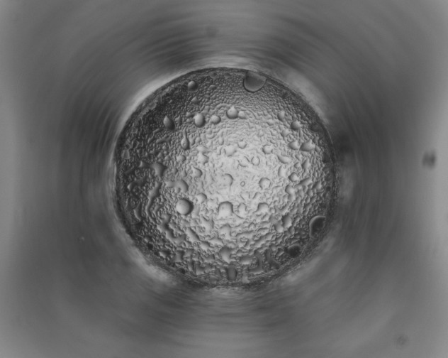 X0000091331125200708171345