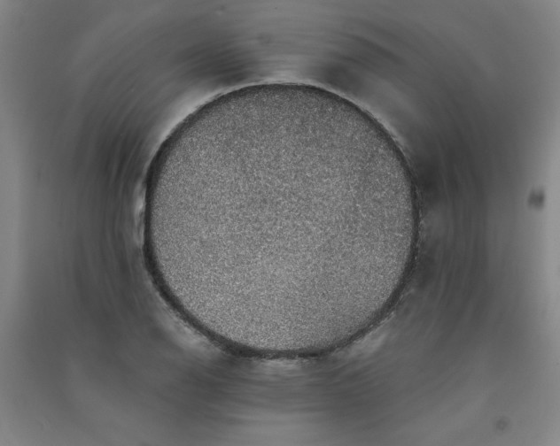 X0000091331126200708171345